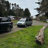 Review photo of Van Damme State Park Campground by Jack W., January 8, 2026