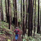 Review photo of Van Damme State Park Campground by Jack W., January 8, 2026