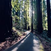 Review photo of Van Duzen County Park - Pamplin Grove by Nathan P., March 9, 2026