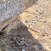 Review photo of Wagon Wheel Staging Area by Stephanie F., May 28, 2025
