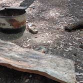 Review photo of Wailaki Campground by Glen B., August 27, 2026