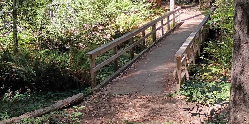 Camper submitted image from Wailaki Campground