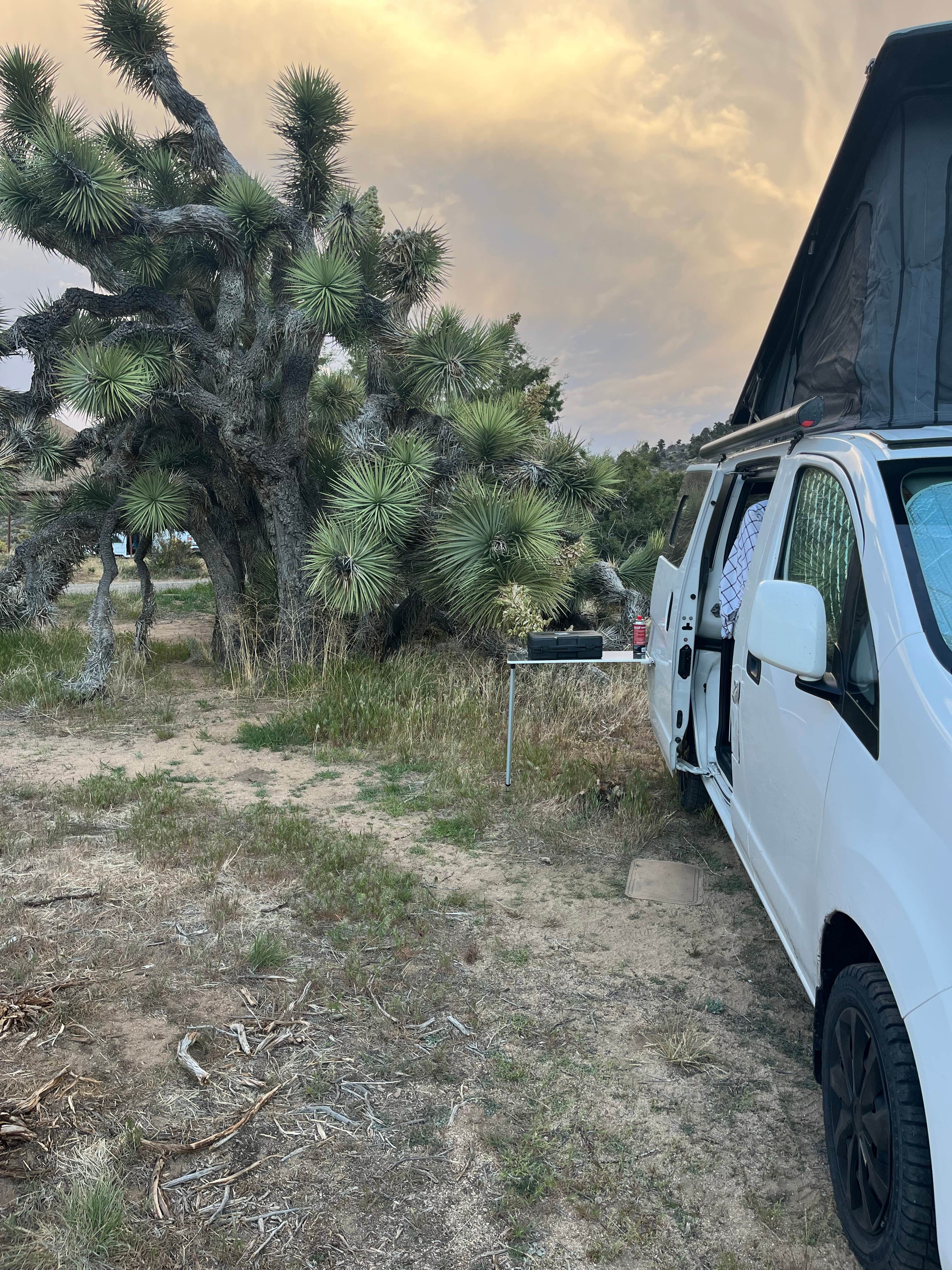 Camping near Trona Pinnacles: Walker Pass Campground, Onyx, California