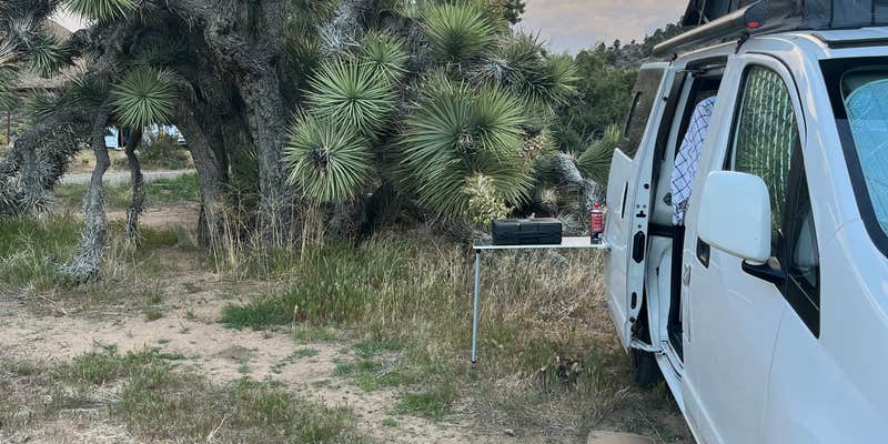 Camper submitted image from Walker Pass Campground