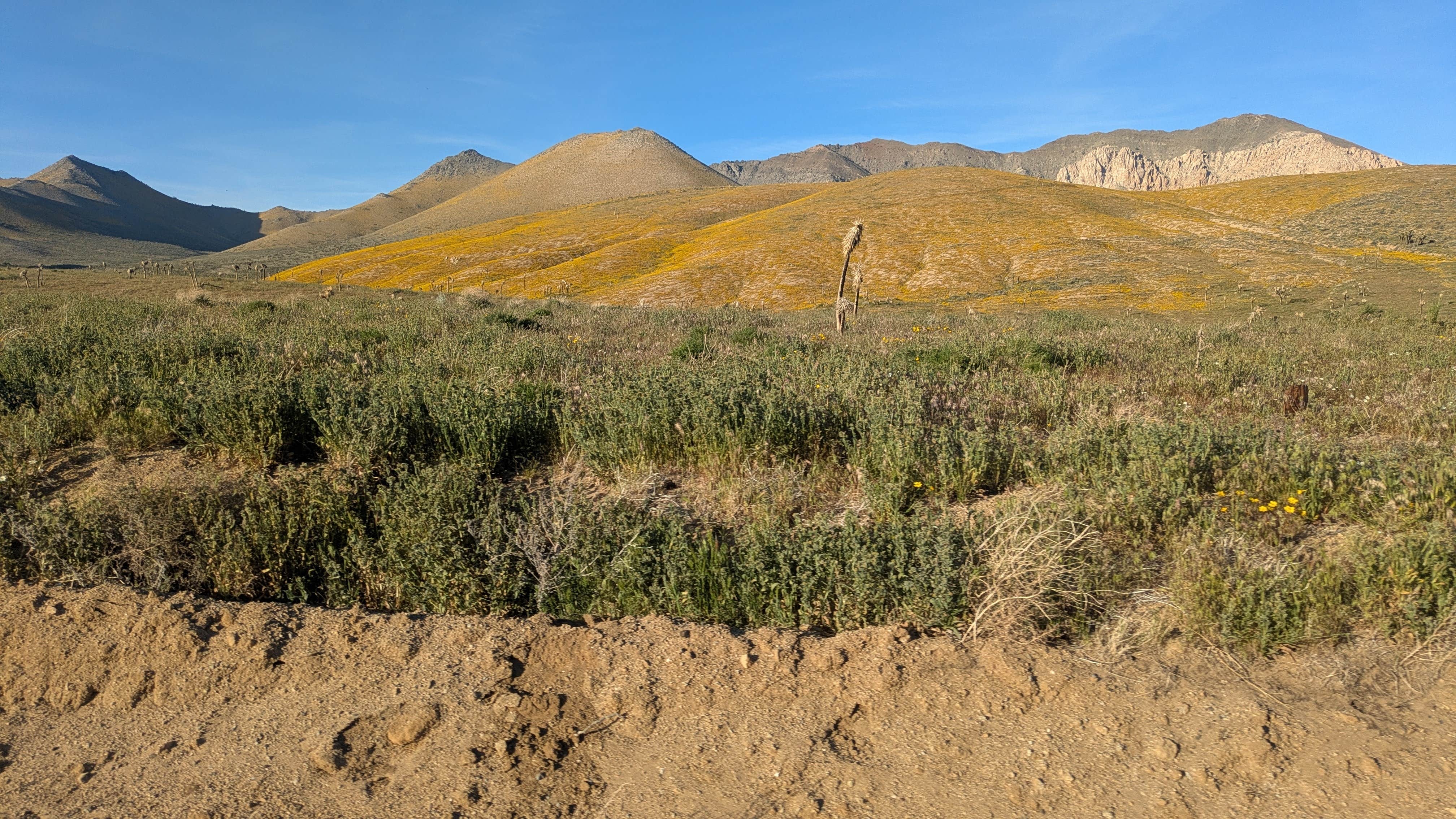 Camper-submitted photo at Walker Pass Campground near Little Lake, CA