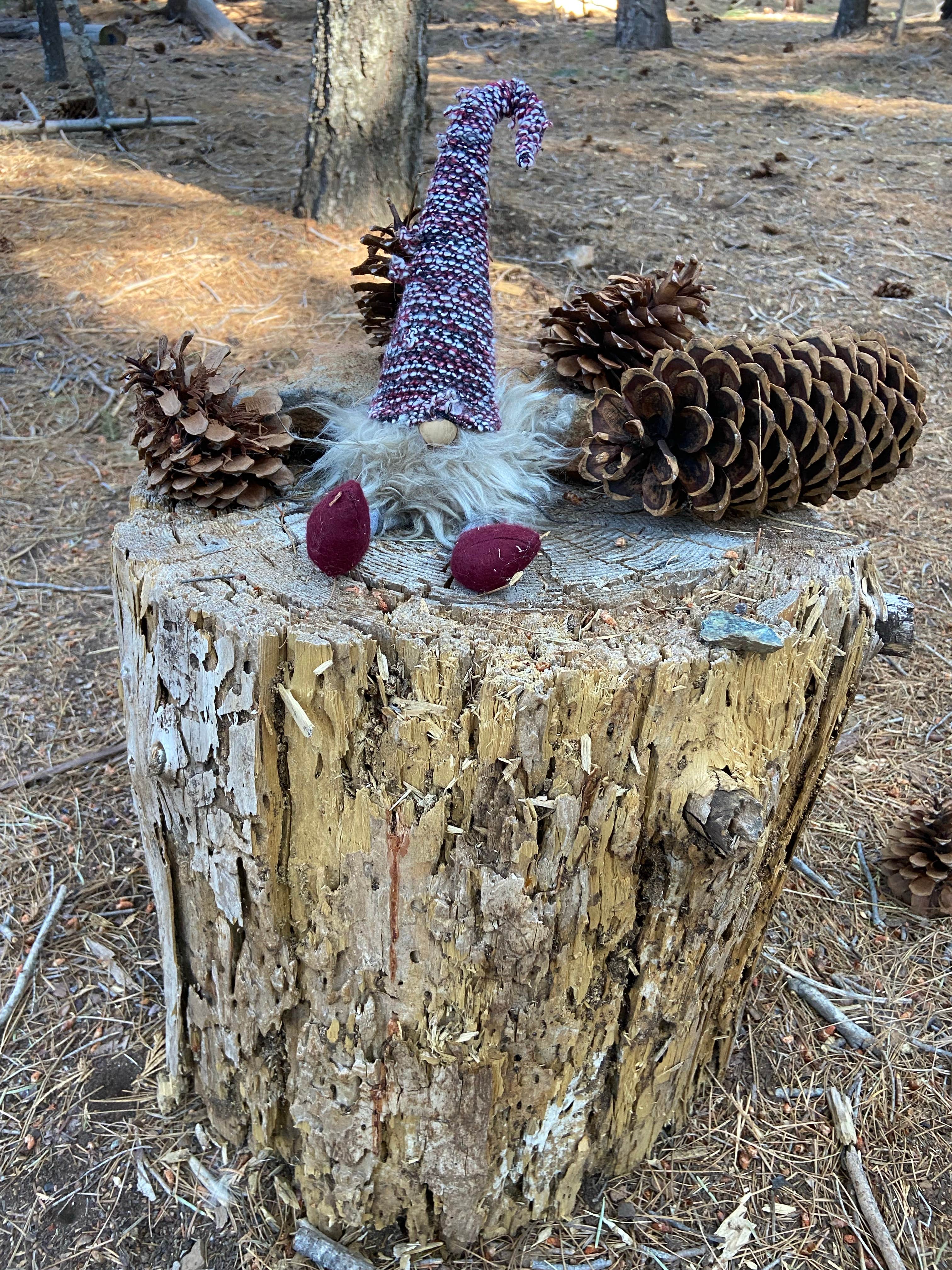 Camper-submitted photo at White Cloud near Gold Run, CA
