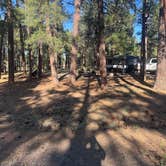 Review photo of Whitehorse Campground - Bucks Lake Recreation Area by Ty G., June 17, 2025