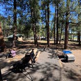 Review photo of Whitehorse Campground - Bucks Lake Recreation Area by Ty G., June 17, 2025