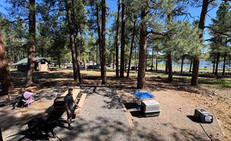 Ty G.'s photo at Whitehorse Campground - Bucks Lake Recreation Area near Forest Ranch, CA