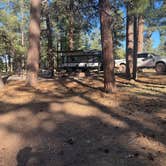 Review photo of Whitehorse Campground - Bucks Lake Recreation Area by Ty G., June 17, 2025