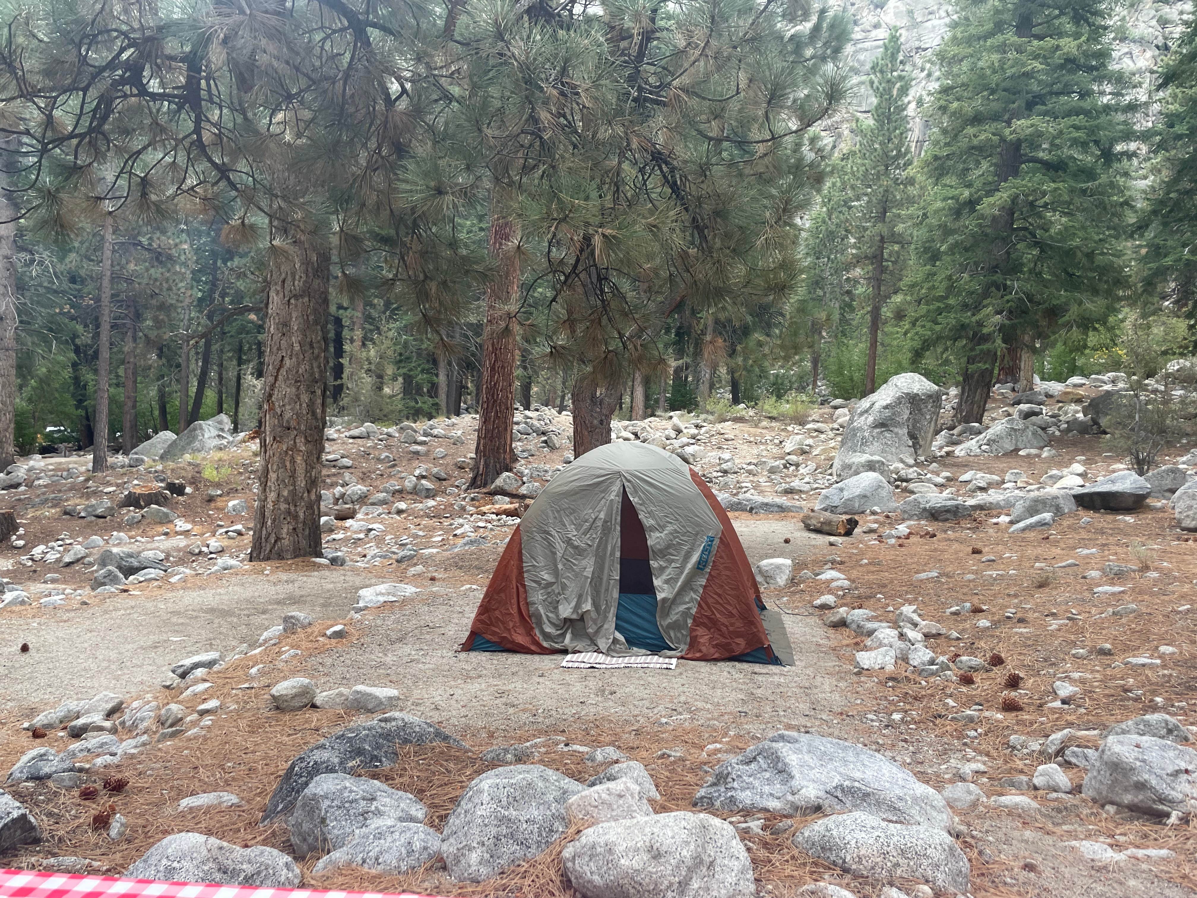 Elise F.'s photo at Whitney Portal near Independence, CA