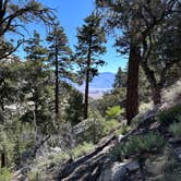 Review photo of Whitney Portal by Deb H., June 16, 2024