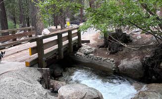 Deb H.'s photo of camping with pets at Whitney Portal near Alabama Hills, CA