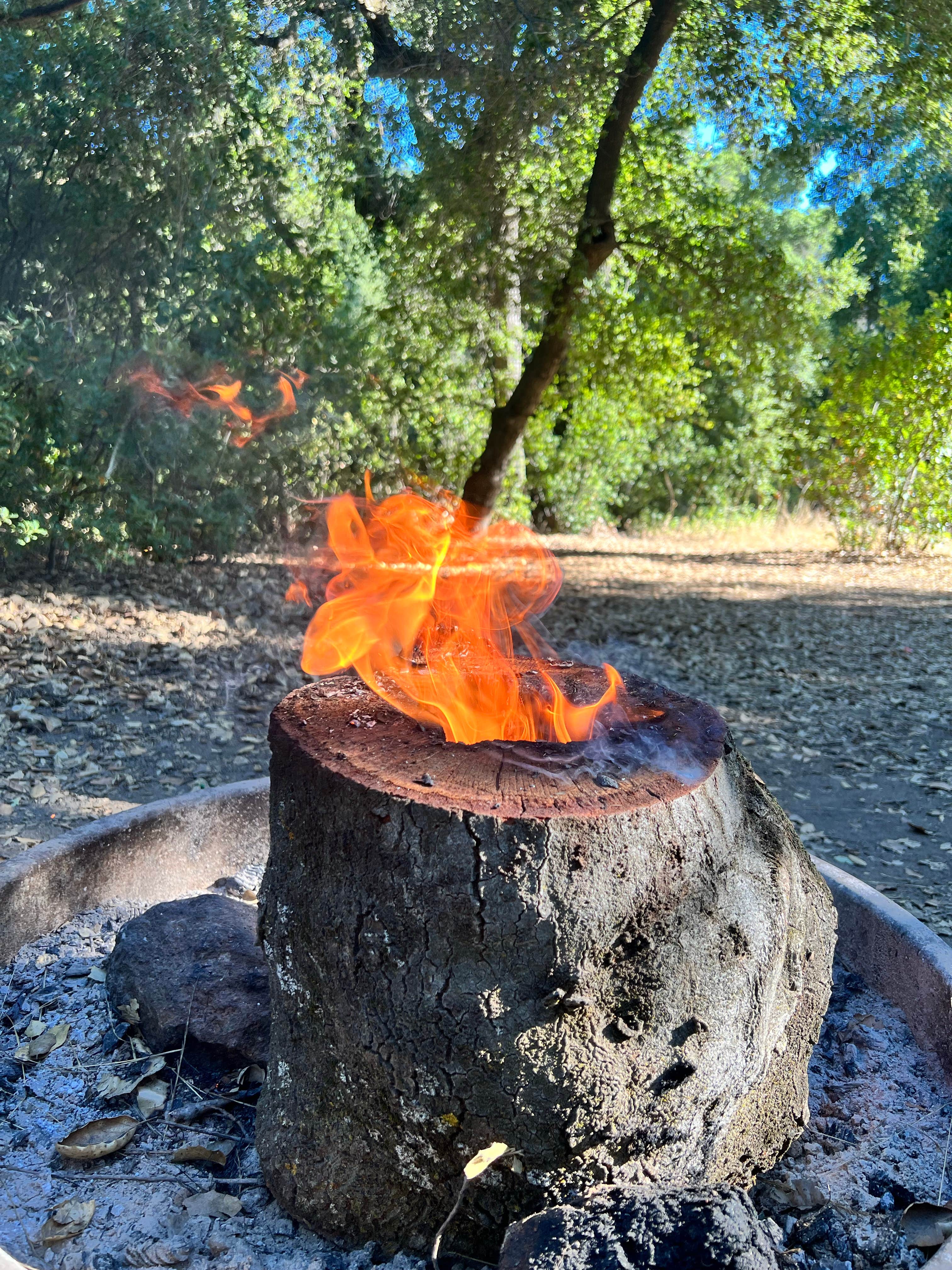 Camper submitted image from Wildomar Campground - 1