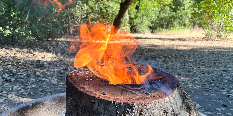 Camper submitted image from Wildomar Campground