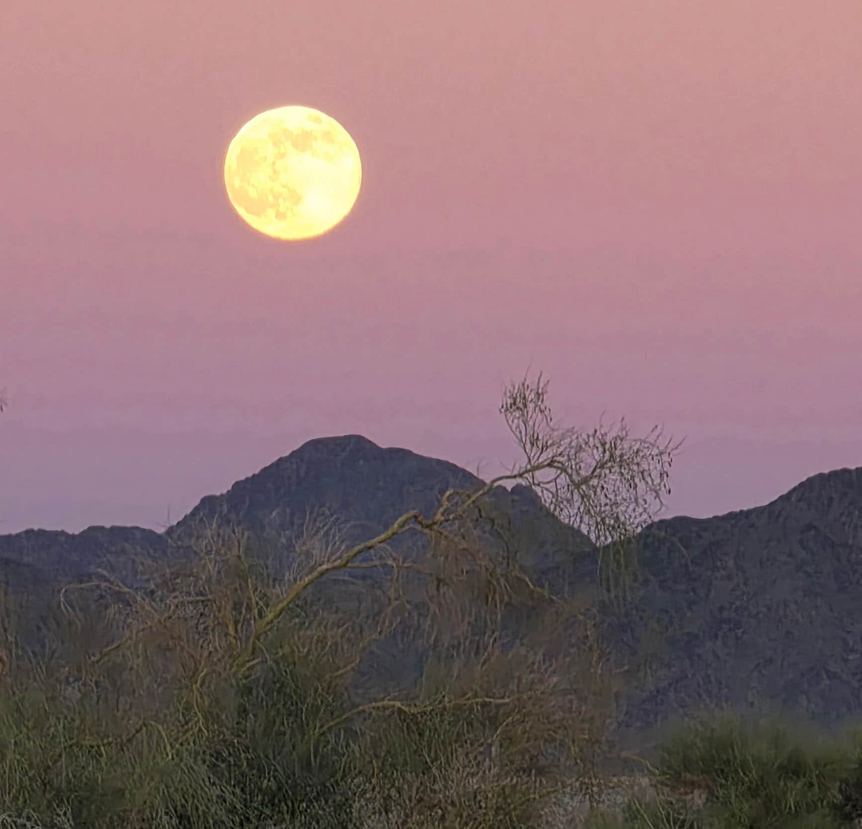 Camping near BLM Oxbow Campground: Wiley's Well Campground, Palo Verde, California
