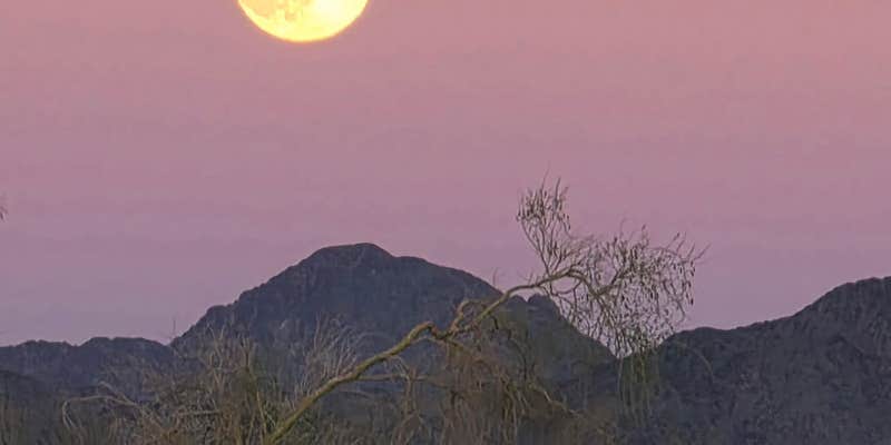 Camper submitted image from Wiley's Well Campground