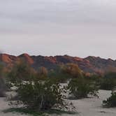 Review photo of Wiley's Well Campground by gail , January 29, 2026