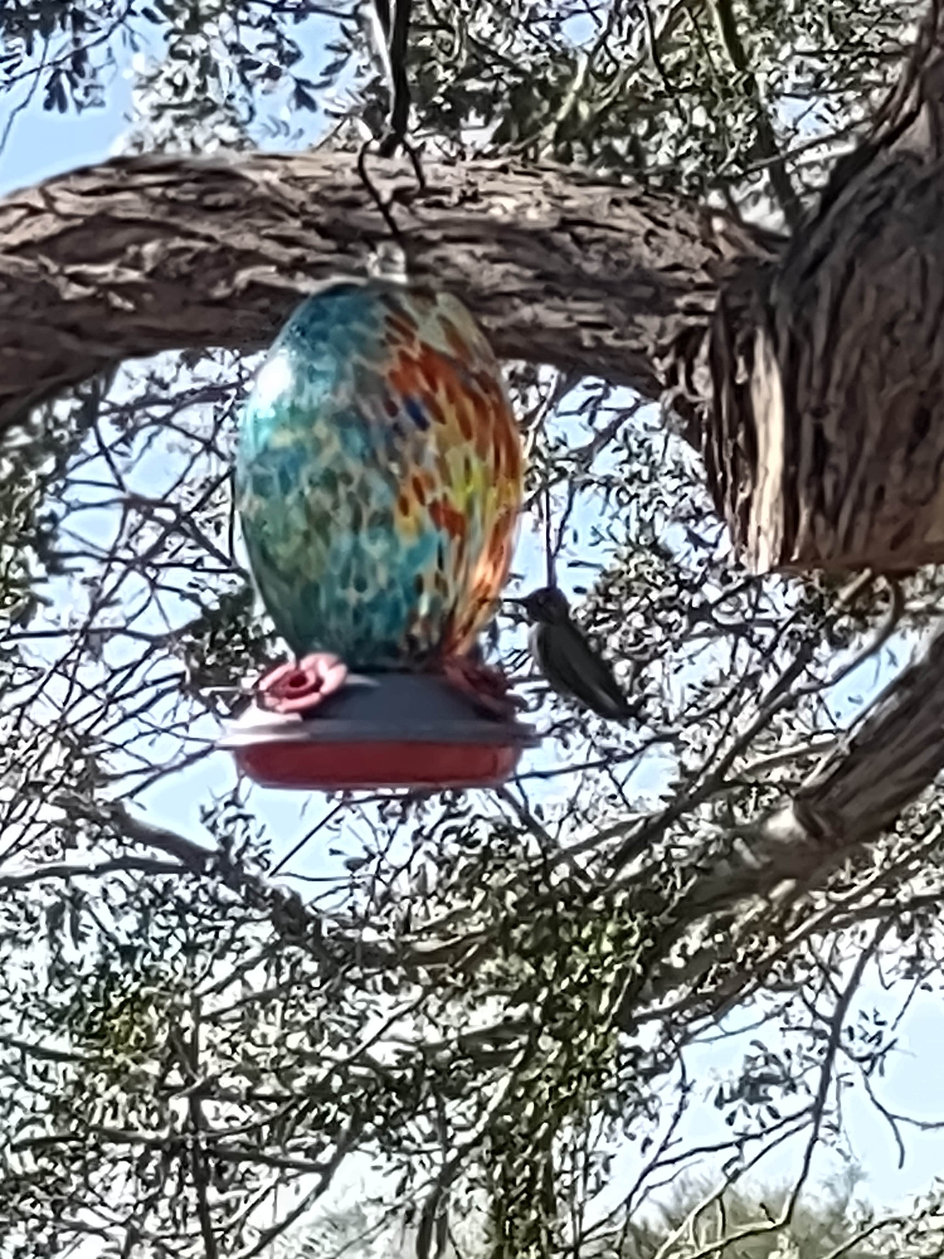 Camper submitted image from Wiley's Well Campground - 4