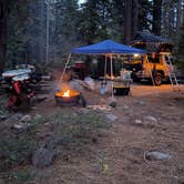Review photo of William Kent Campground by Lizbeth B., June 28, 2026