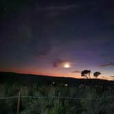 Review photo of Williams Hill Recreation Area by Sophie T., October 25, 2025