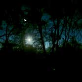 Review photo of Williams Hill Recreation Area by ELIZABETH B., December 7, 2025