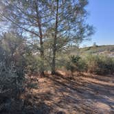 Review photo of Williams Hill Recreation Area by Jahro M., July 15, 2025