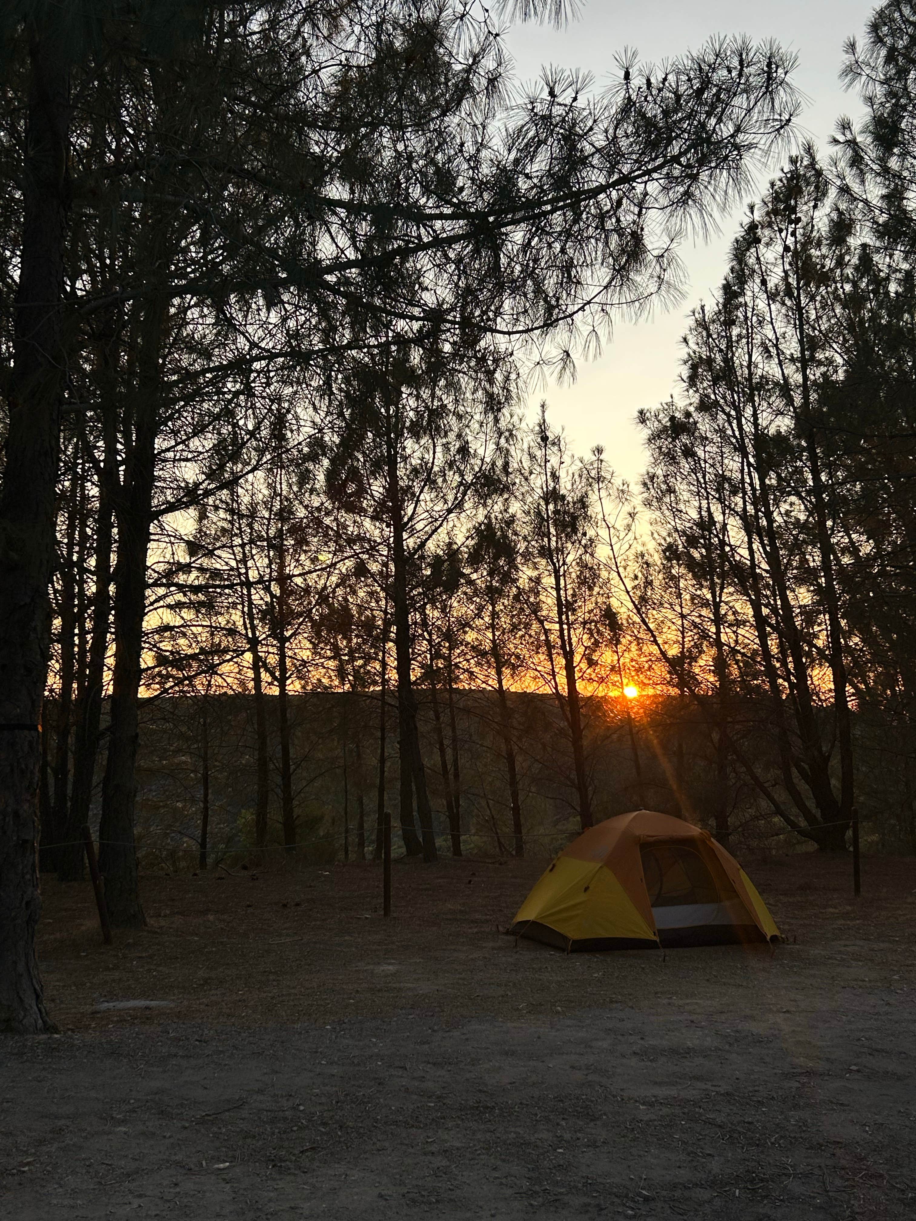 Camper-submitted photo at Williams Hill Recreation Area near Cambria, CA