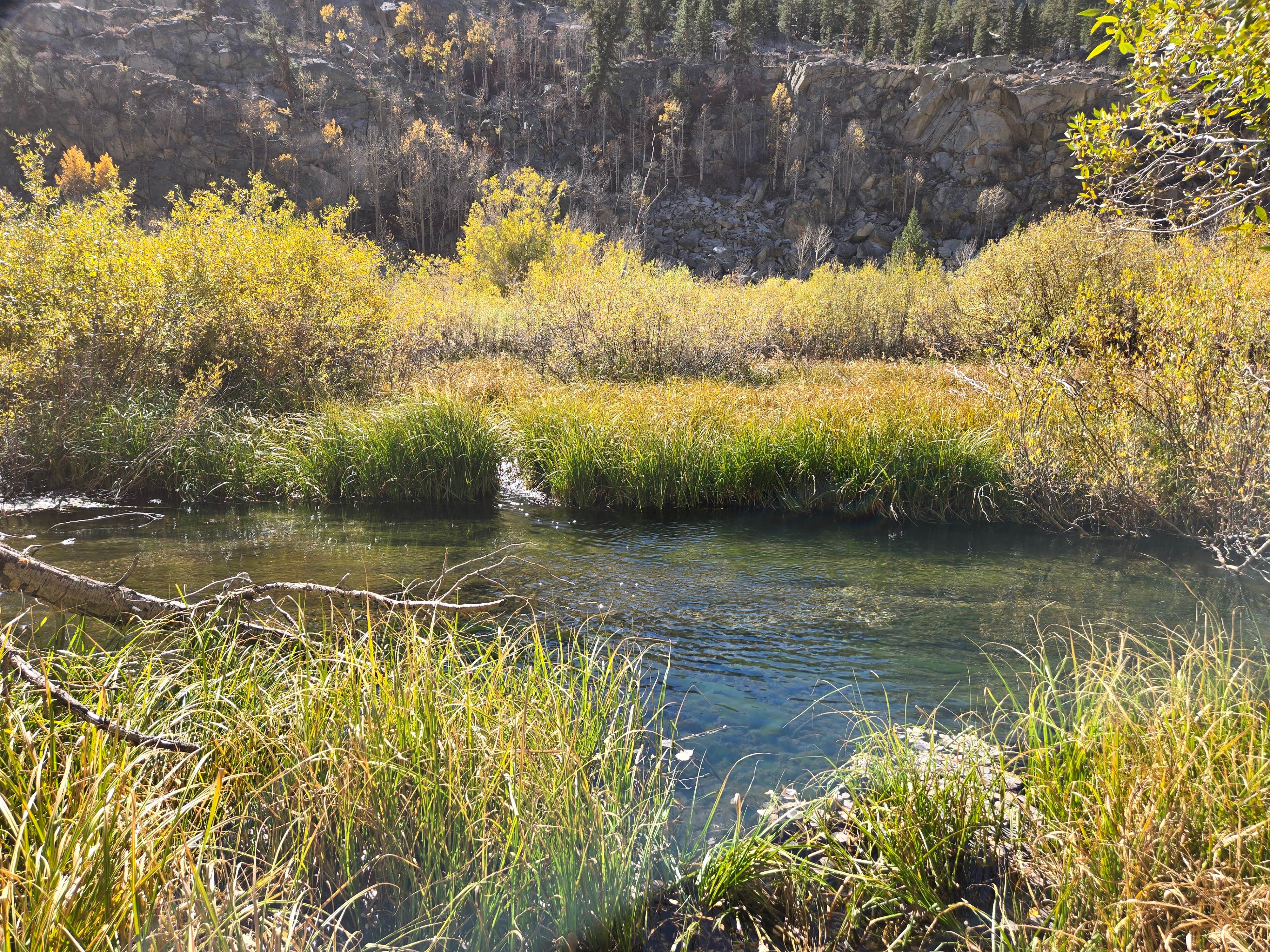 Camper-submitted photo at Willow Campground near Big Pine, CA