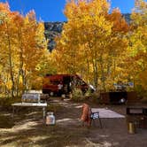 Review photo of Willow Campground by Beatriz S., October 3, 2024