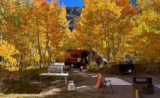 Beatriz S.'s photo of camping with pets at Willow Campground near Bishop, CA