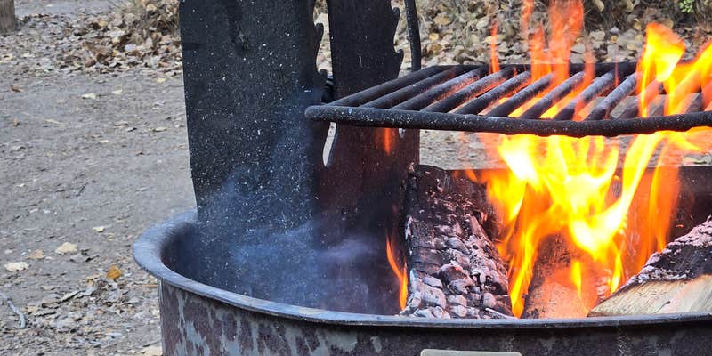 Camper submitted image from Willow Campground