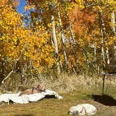 Review photo of Willow Campground by Beatriz S., October 3, 2024