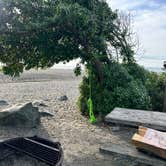 Review photo of Wright's Beach Campground — Sonoma Coast State Park by Jacqueline C., December 27, 2023