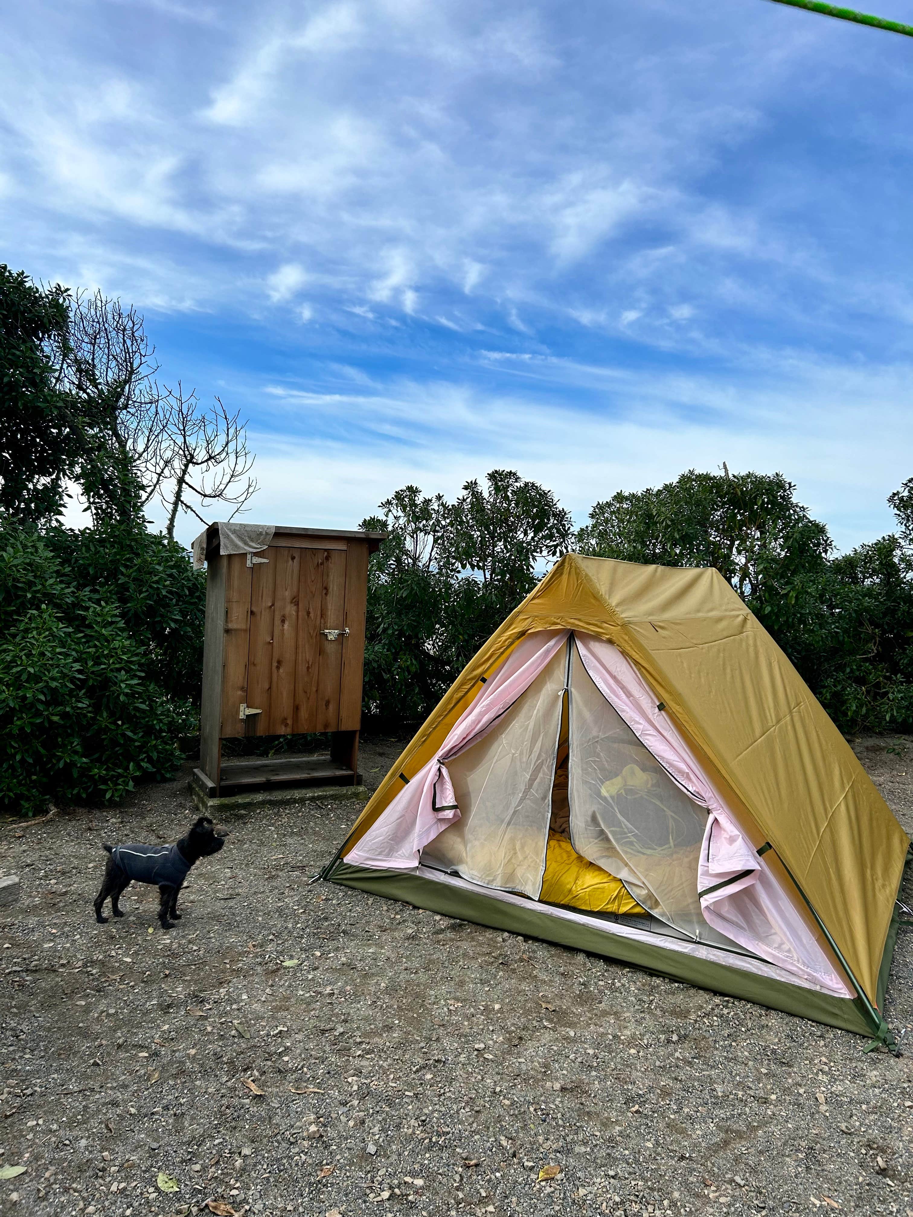 Jacqueline C.'s photo of camping with pets at Wright's Beach Campground — Sonoma Coast State Park near Healdsburg, CA