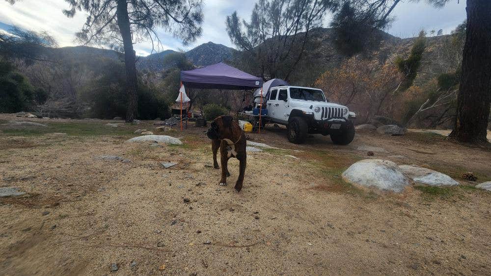 Jose B.'s photo at Calkins Flat Dispersed Camping near California Hot Springs, CA