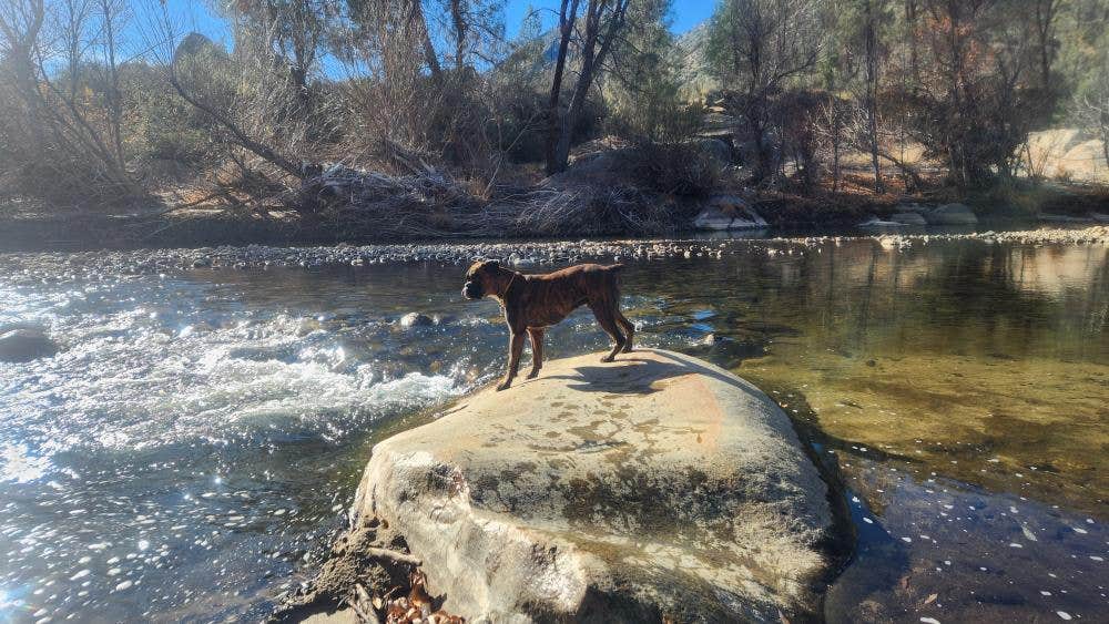 Jose B.'s photo of a dispersed camping area at Calkins Flat Dispersed Camping near Posey, CA