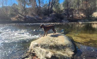 Jose B.'s photo of a dispersed camping area at Calkins Flat Dispersed Camping near Bodfish, CA