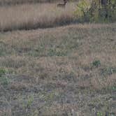 Review photo of Choke Canyon State Park Campground by Ursula , March 18, 2026