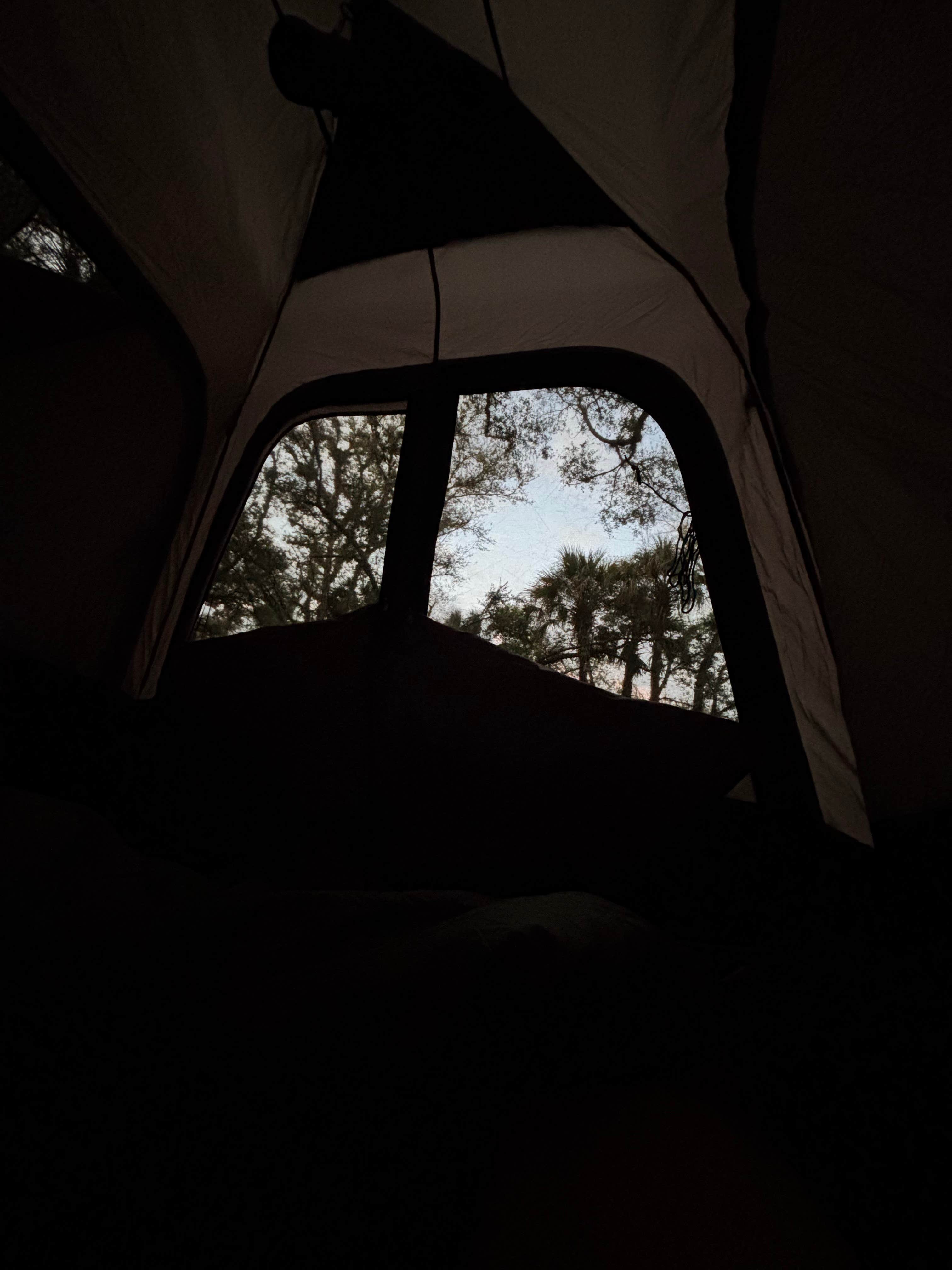 Camper-submitted photo at Caloosahatchee Regional Park near Alva, FL