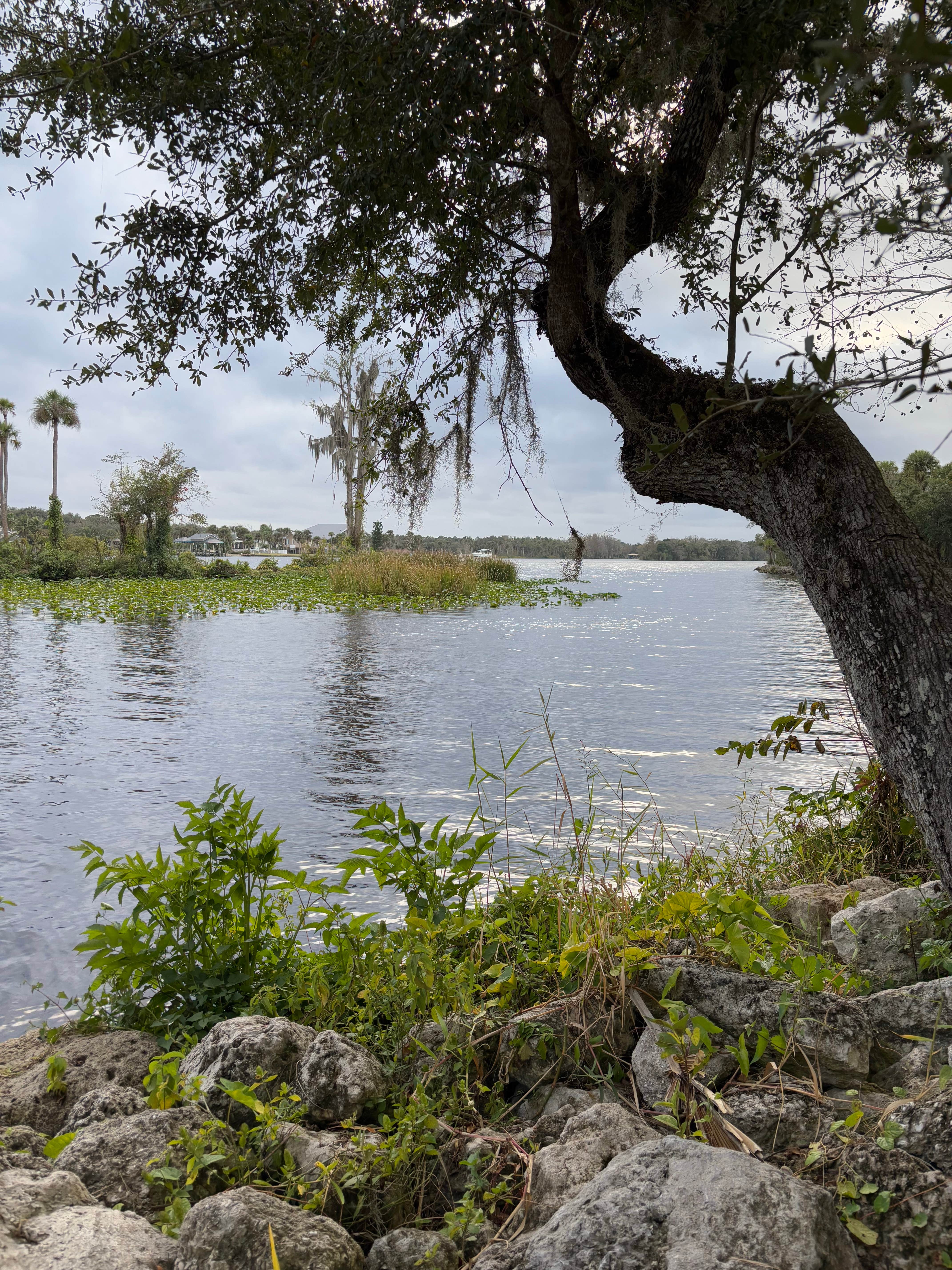 Caloosahatchee Regional Park