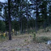 Review photo of Calumet Rd Dispersed Camping by hannah F., October 14, 2025