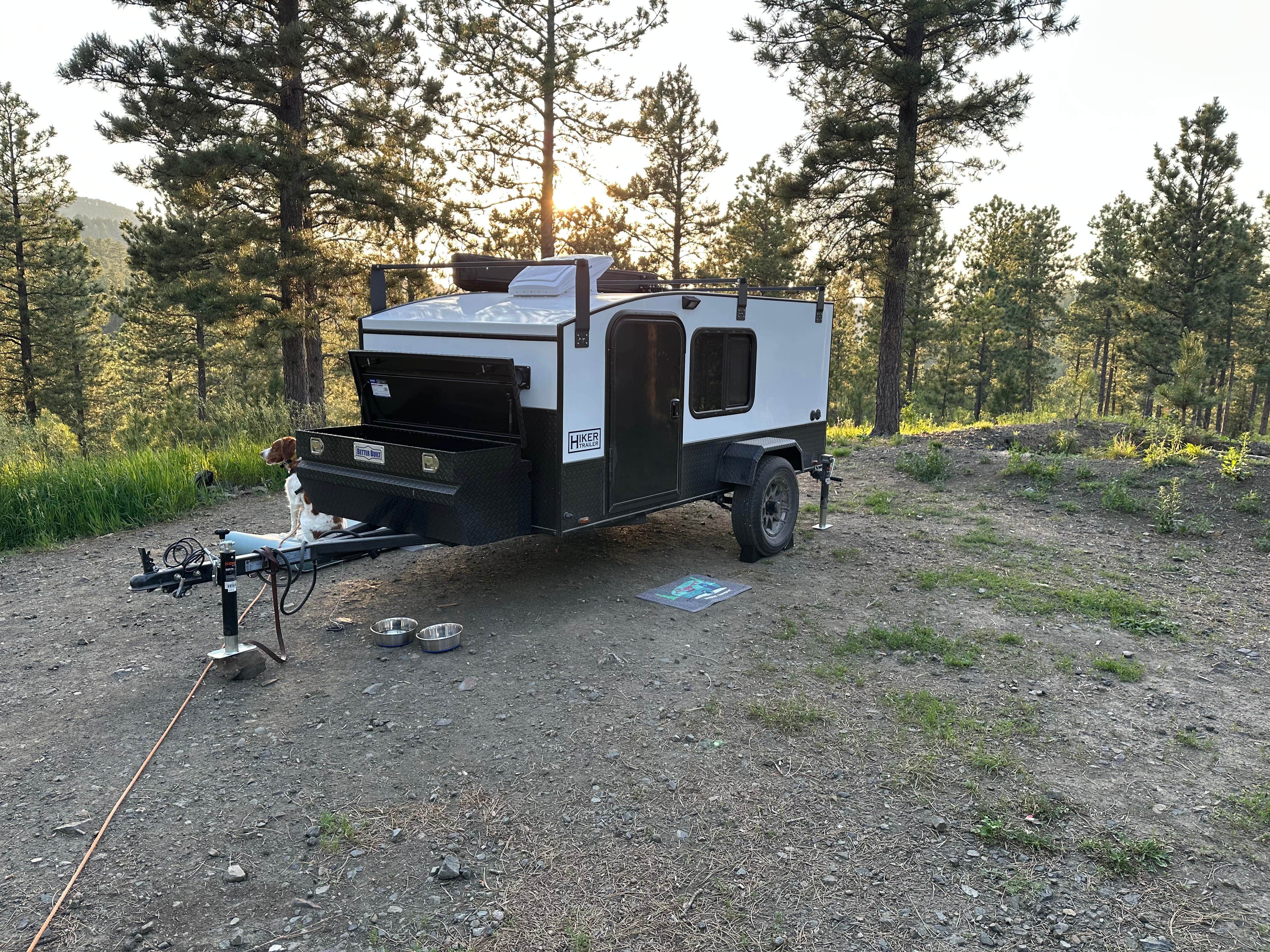 Jacob V.'s photo of camping with pets at Calumet Rd Dispersed Camping near Black Hills National Forest