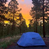 Review photo of Calumet Rd Dispersed Camping by Juliana M., June 1, 2026