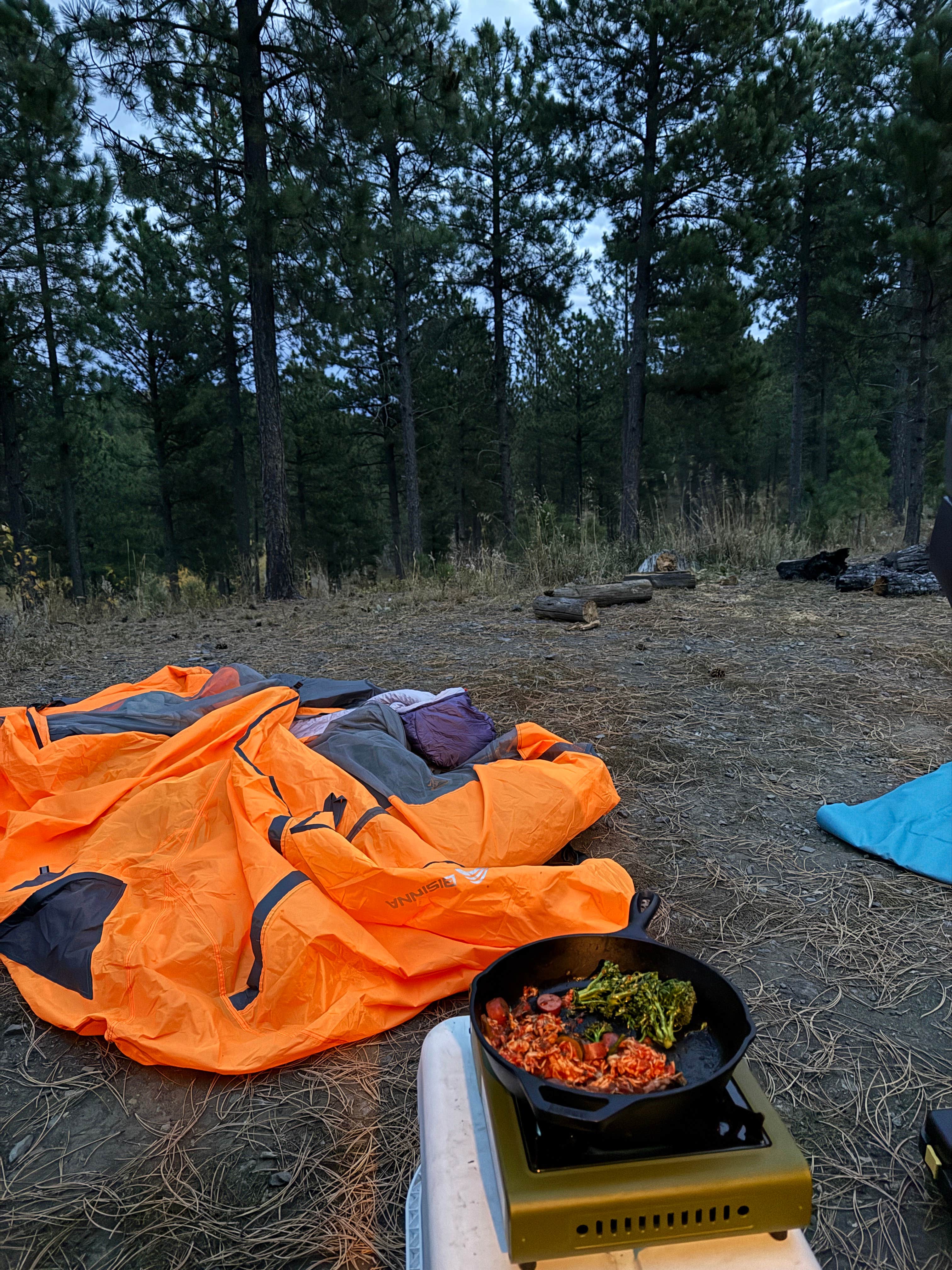 hannah F.'s photo of a dispersed camping area at Calumet Rd Dispersed Camping near Deadwood, SD