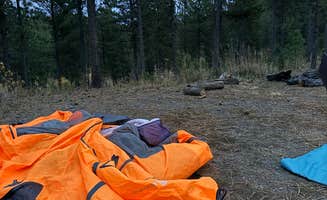 hannah F.'s photo of a dispersed camping area at Calumet Rd Dispersed Camping near Nemo, SD