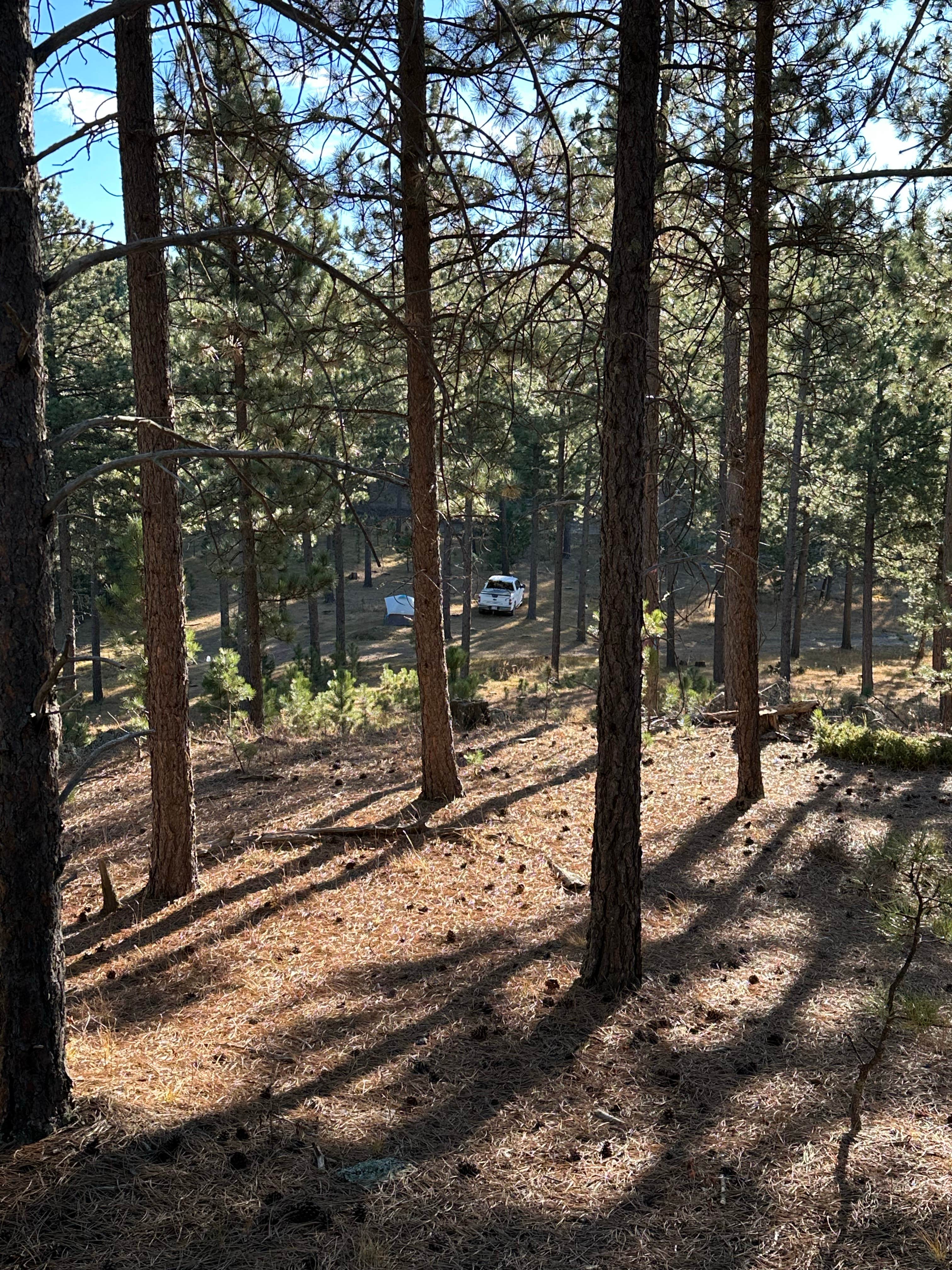 Camper-submitted photo at Calumet Rd Dispersed Camping near Rapid City, SD