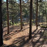 Review photo of Calumet Rd Dispersed Camping by Camila S., November 8, 2025