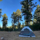 Review photo of Calumet Rd Dispersed Camping by Camila S., November 8, 2025