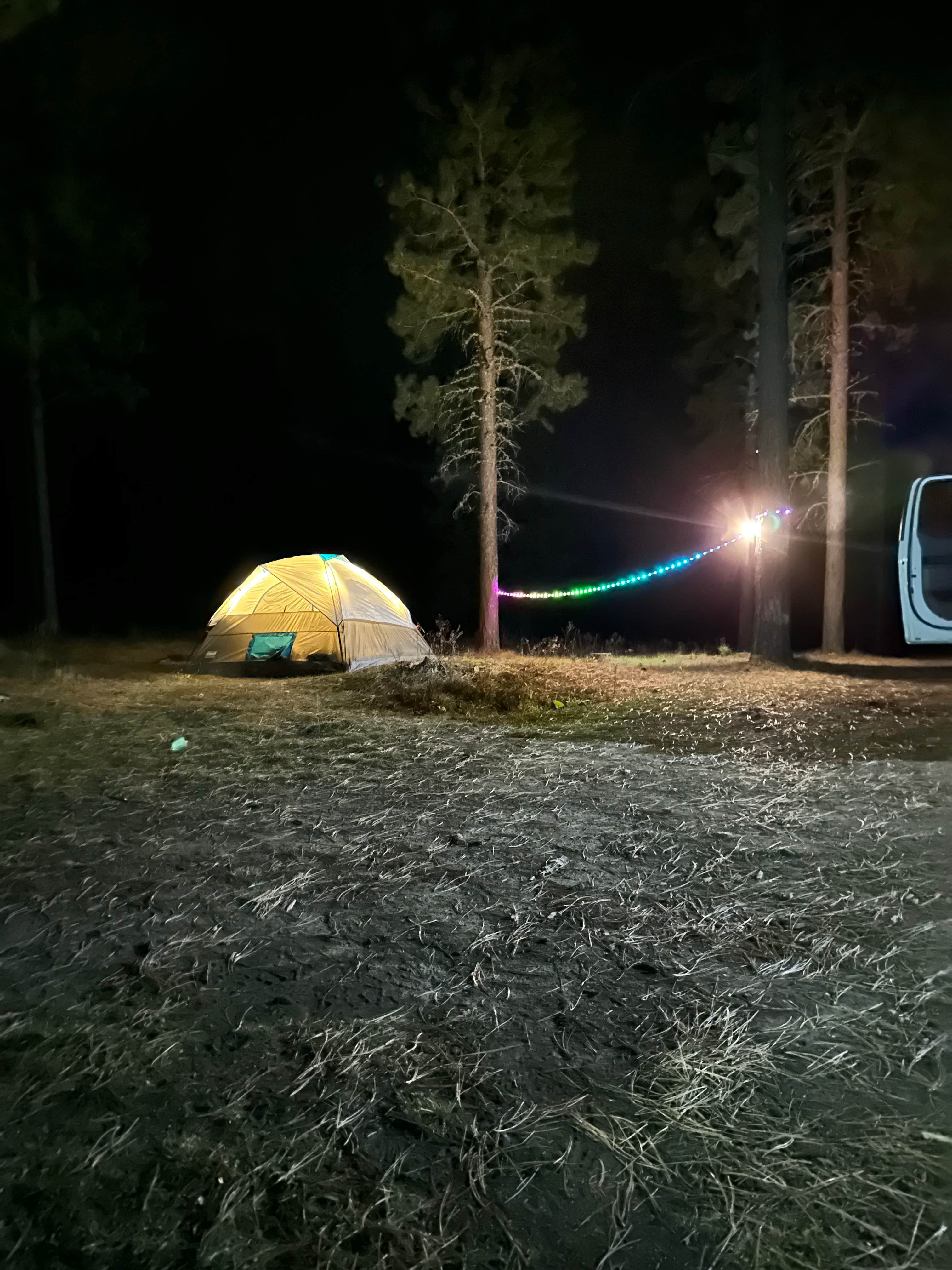 Camper submitted image from Calumet Rd Dispersed Camping - 1